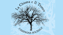 La Chioma e il tronco