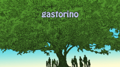 GAStorino