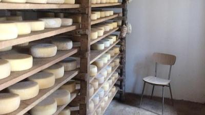 Formaggi a latte crudo: non solo "mera" tradizione