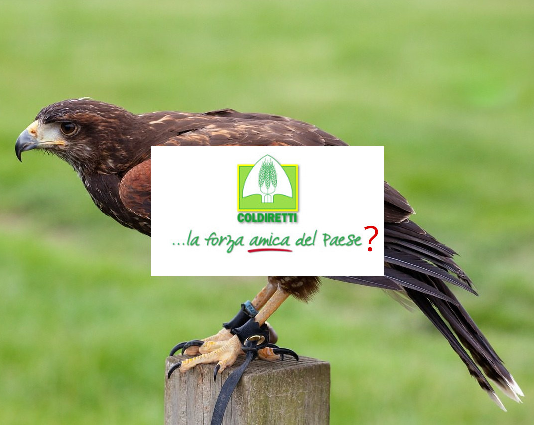 villaggio coldiretti